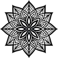 Obraz premium black and white abstract flower