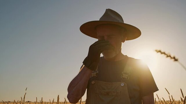 Weathered farmer checking wheat field, backlit by golden sunset, touching ripe grain and adjusting worn hat with calloused hands