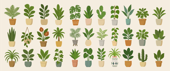 collection of indoor houseplants in decorative pots – flat vector illustrations