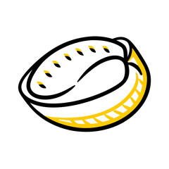 Hand Draw coconut icon on transparent background for web and graphic design