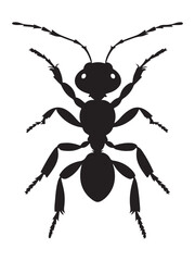 an ant silhouette black vector artwork illustration