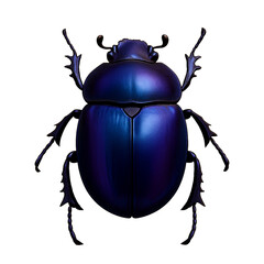 Dark blue metallic scarab beetle isolated on white