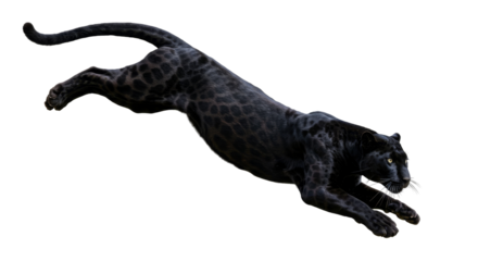Black Panther Jumping side view isolated on transparent background, Black Panther PNG 