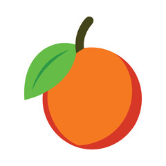 Ambarella summer tropical fruit flat vector for food and market design color vector illustration