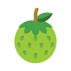 Breadfruit exotic tropical fruit with textured skin vector art color vector illustration