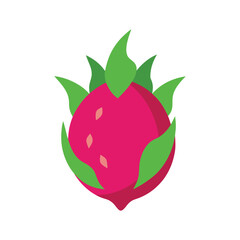 Dragon fruit tropical cactus fruit with vibrant color flat design color vector illustration
