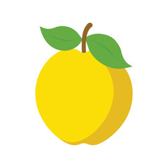 Desert quince wild fruit with unique shape and skin flat vector color vector illustration