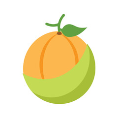 Galia melon smooth green skin melon fruit in clean vector style color vector illustration
