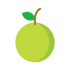 Indian gooseberry tart fruit with traditional uses in flat style color vector illustration