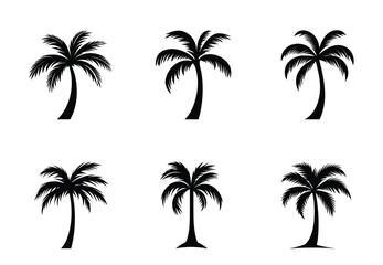 Collection of Beautiful Black and White Palm Tree Illustrations