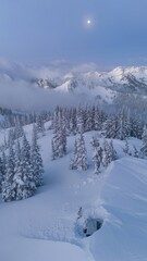 Aerial view of snow covered mountains and trees under a bright moon on a cloudy winter day