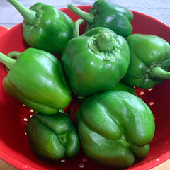 green peppers in a bowl