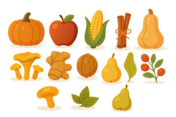autumn set with food. pumpkin, apple, corn, cinnamon, chanterelle mushrooms, ginger, walnut, pear, red berry, honey mushrooms
