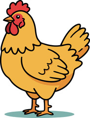 Fototapeta premium Chicken Vector Illustration with Yellow Body and Red Comb in Standing Pose 