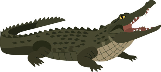 Crocodile with open mouth resting on white background vector illustration 