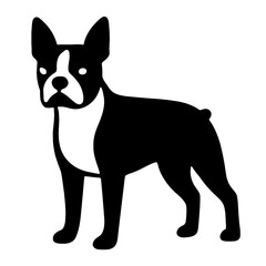 Fototapeta premium very simple flat and single minimalist Boston Terrier Silhouettes