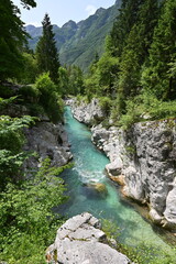 Fototapeta premium river in the mountains Slovenia Soca 