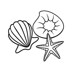 Seashell and starfish placed neatly on soft sand on white background Line art