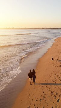 Aerial shot of a happy couple walking and playing with their dog on the beach at sunset in Southern California. Vertical Video.