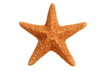 Orange starfish revealing detailed surface texture, symmetrical five-point structure against clean transparent backdrop