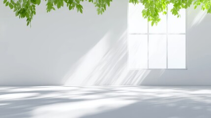 Obraz premium Bright and Spacious Empty Interior Space with Sunlight and Shadows for Home Design Background Use