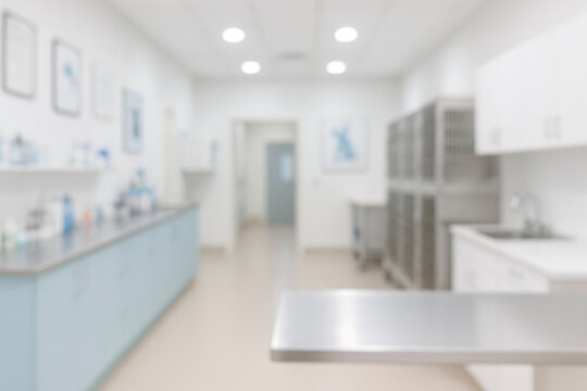 Modern veterinary clinic interior with exam table and equipment, clean bright animal hospital, pet healthcare concept, blurred background for copy space, professional vet office design
