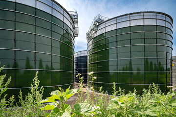Neubau einer modernen Biogasanlage , Fermenter - Hochsilos aus Stahl umrahmt von Wildkräutern.
