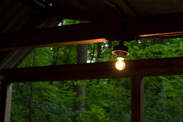 Light bulb in a gazebo in the forest