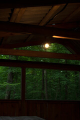 Light bulb in a gazebo in the forest