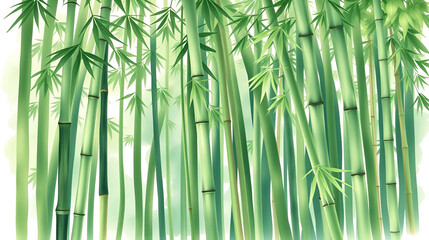 Obraz premium Green bamboo background, Asian rainforest. Watercolor hand drawn isolated illustration