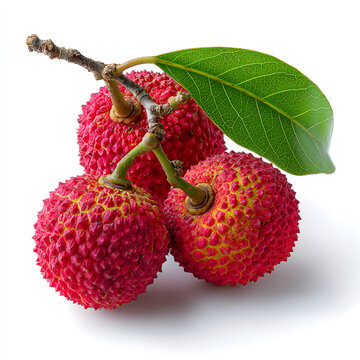 Lychee Isolated in White Background