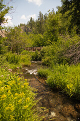 Obraz premium Viewing platform over Little spearfish creek, South Dakota