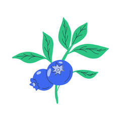 Blueberries branch. Cartoon bilberry bush with ripe blue berries and green leaves, flat berry icon for package label design. Vector isolated illustration