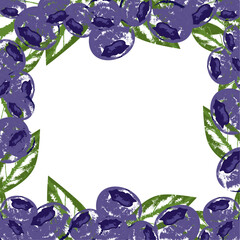 Blueberry fruit with green leaves. Background with blueberry.