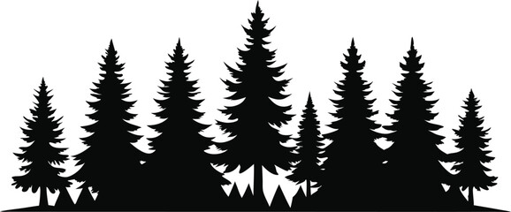 Fototapeta premium Majestic silhouette of evergreen trees in a forest