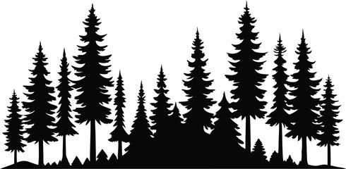 Fototapeta premium Majestic silhouette of evergreen trees in a forest