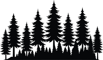 Fototapeta premium Majestic silhouette of evergreen trees in a forest