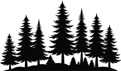Obraz premium Silhouetted evergreen trees winter forest landscape
