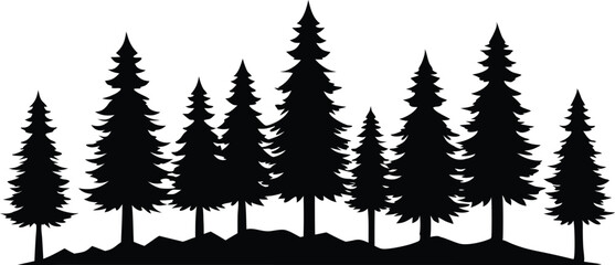 Fototapeta premium Majestic silhouette of evergreen trees in a forest