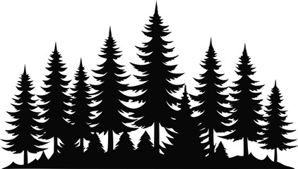 Obraz premium Majestic silhouette of evergreen trees in a forest