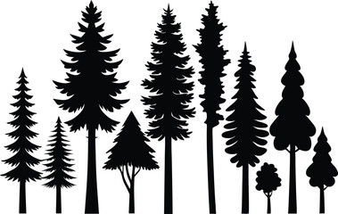 Obraz premium Silhouettes of various evergreen trees in a forest