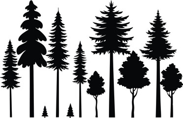 Fototapeta premium Silhouettes of various evergreen and deciduous trees