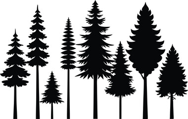 Fototapeta premium Silhouettes of various evergreen trees in a forest