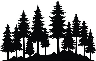Fototapeta premium Silhouetted evergreen trees forest woodland nature scene