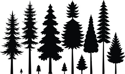Fototapeta premium Silhouettes of various evergreen trees of different sizes