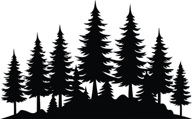 Obraz premium Majestic silhouette of evergreen trees in a forest