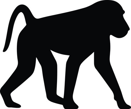 Silhouette baboon walking black shape flat vector illustration