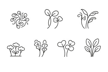 Sprouts and Microgreens Icons. Line style icons of sprouts and microgreens: alfalfa sprouts, radish sprouts, pea shoots, sunflower