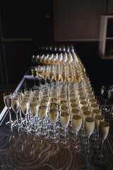 Rows of Champagne Glasses on Display Table