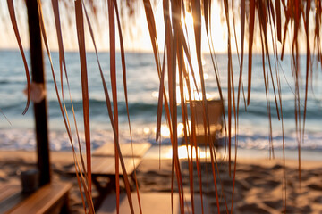 Close-up of palm leaf on sandy beach, featuring bed, sun loungers and drink table. Luxury vacation and holiday concept.